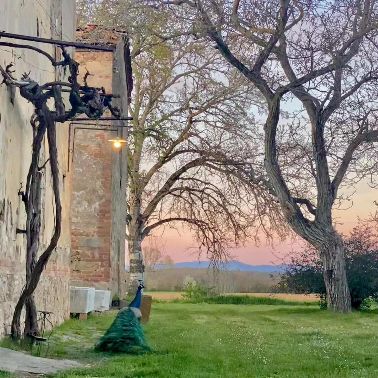 Tenuta La Fratta Sinalunga Exteriér fotografie